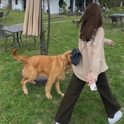 战鼎第二季